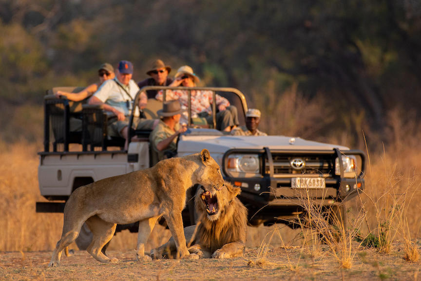 WALKING WITH WILDLIFE