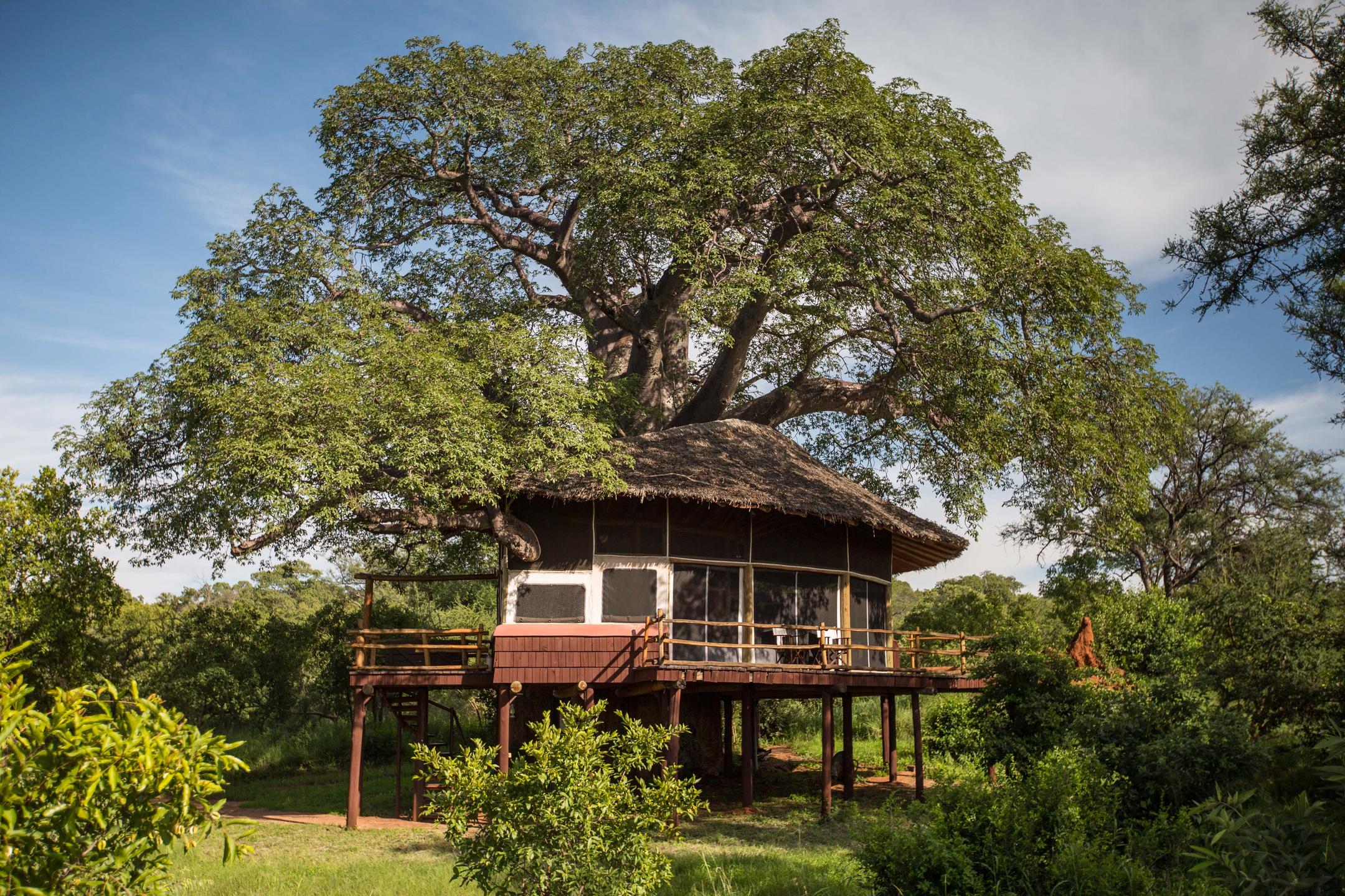 Read more about Tarangire Treetops