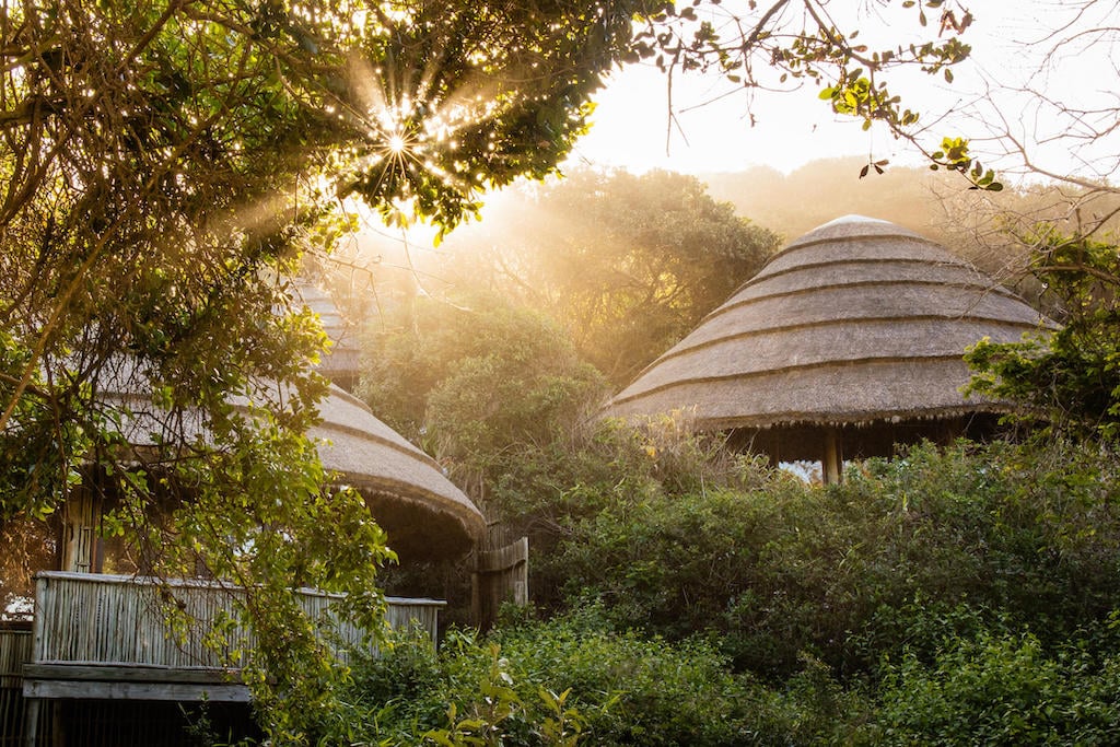READ MORE ABOUT THONGA BEACH LODGE