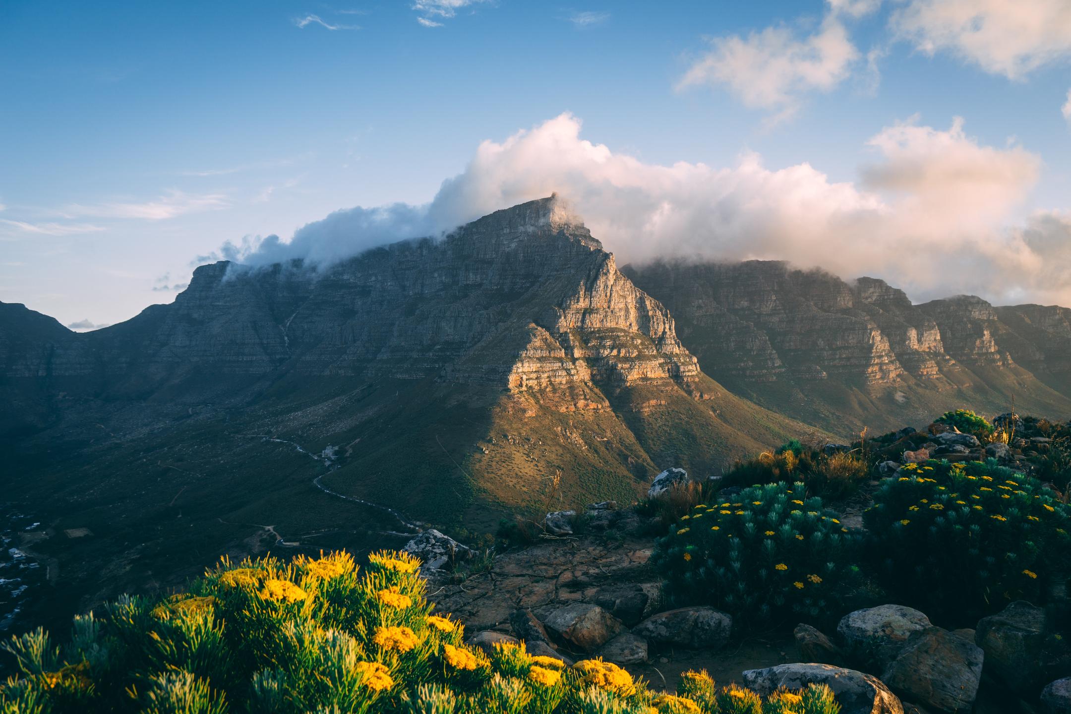 Classic South Africa
