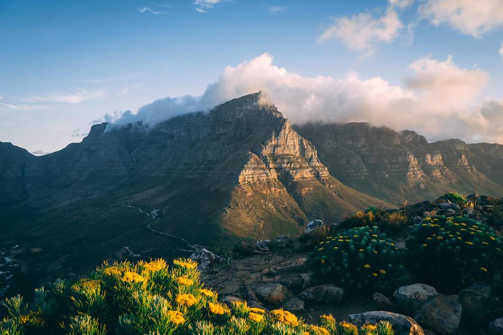 CLASSIC SOUTH AFRICA