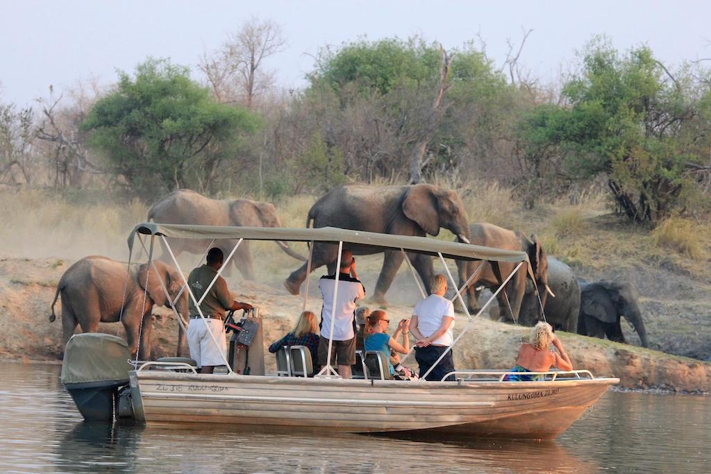 TRULY WILD ZAMBIA