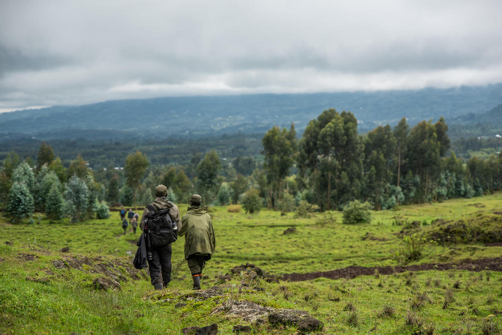 PRIMATES AND PARADISE