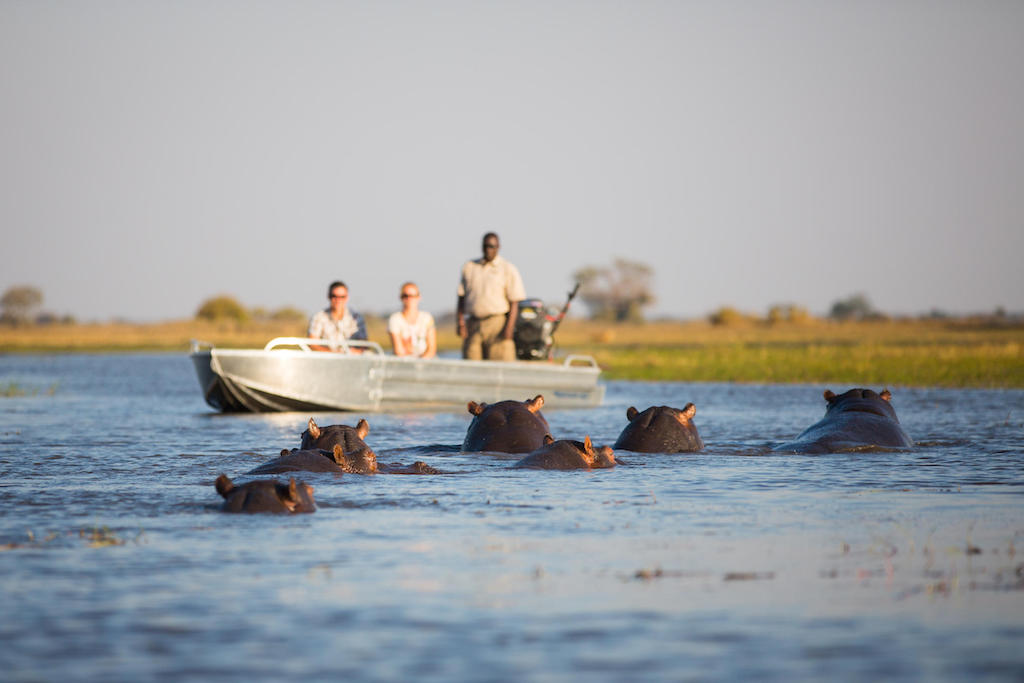 MAGNIFICENT ZAMBIA