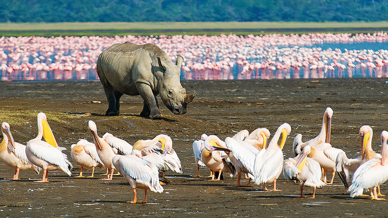 LAKE NAKURU LODGE