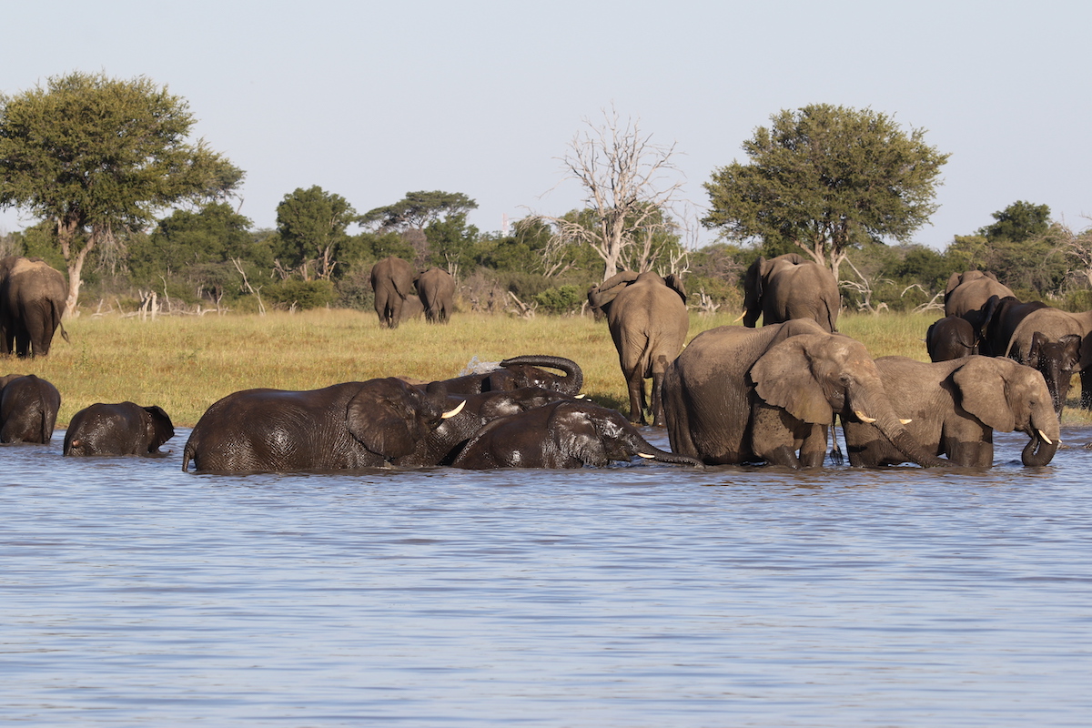 NEHIMBA LODGE