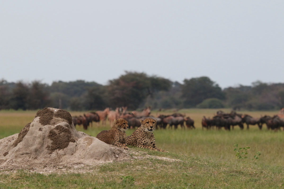 NEHIMBA LODGE