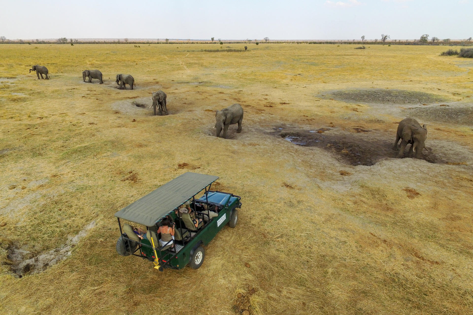 REDISCOVERING RHINOS