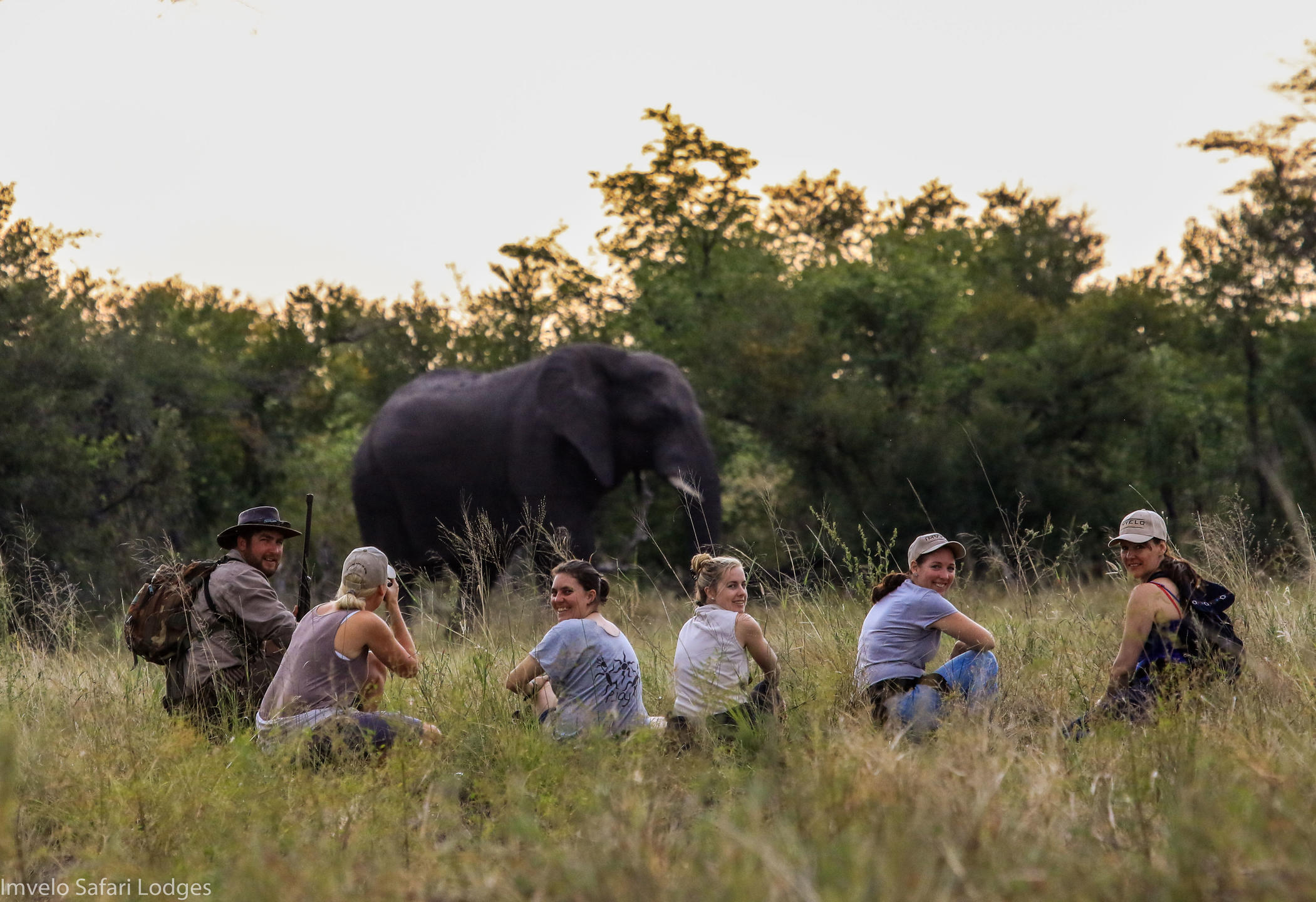 REDISCOVERING RHINOS