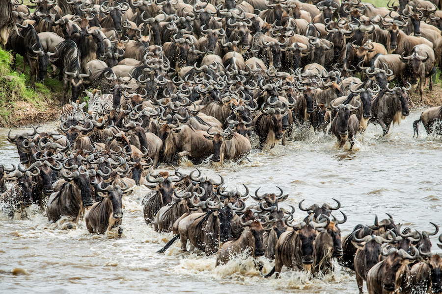 GUIDED DRIVE NORTHERN TANZANIA