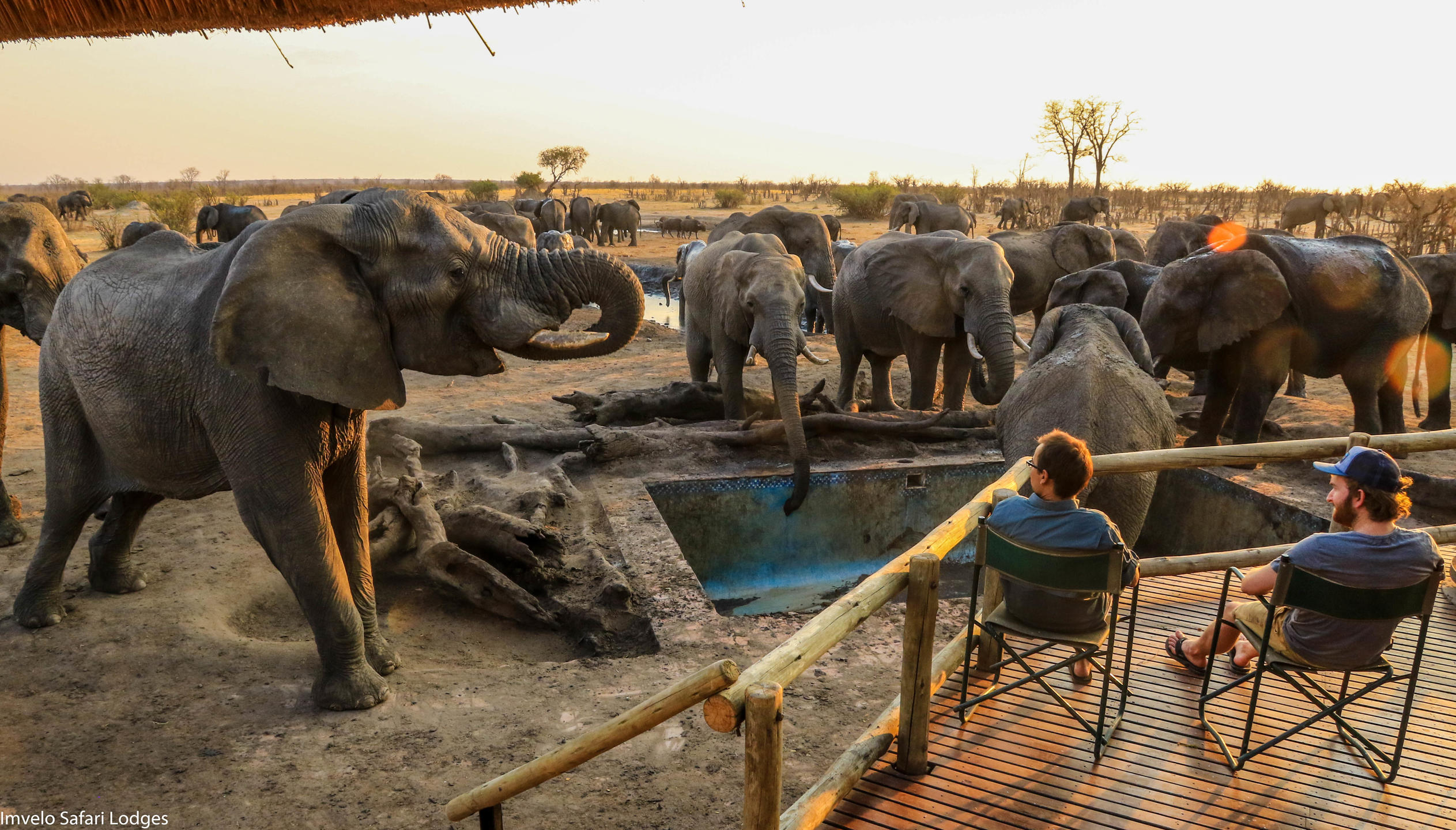 READ MORE ABOUT NEHIMBA LODGE