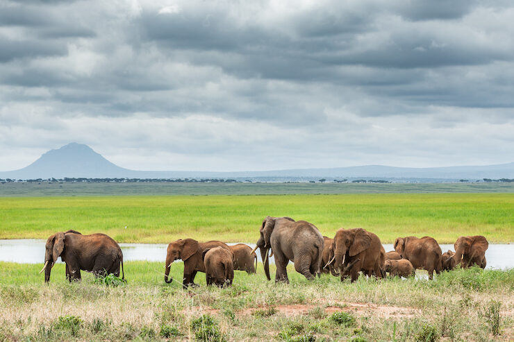 GUIDED DRIVE NORTHERN TANZANIA