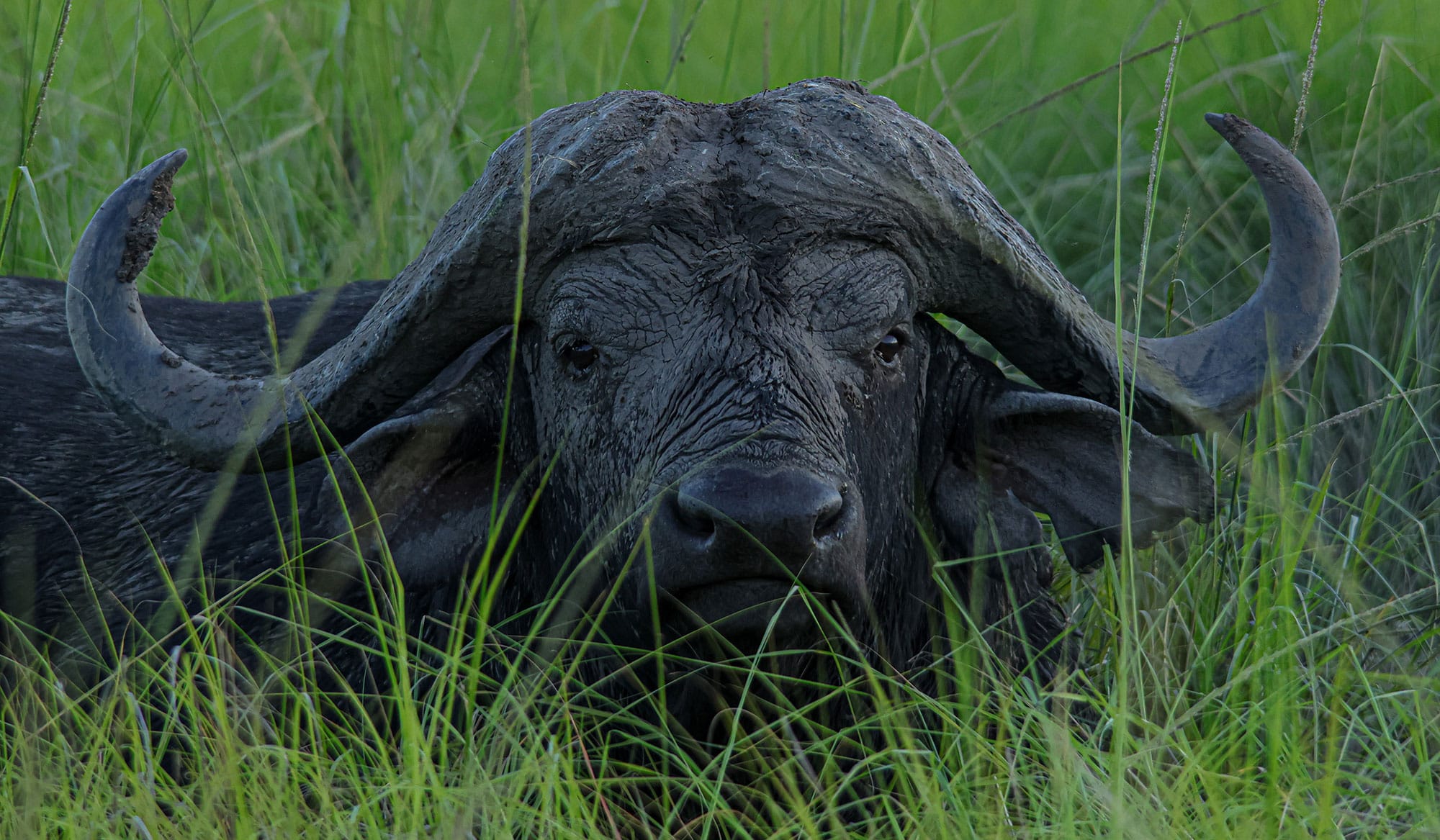 IDUBE GAME LODGE