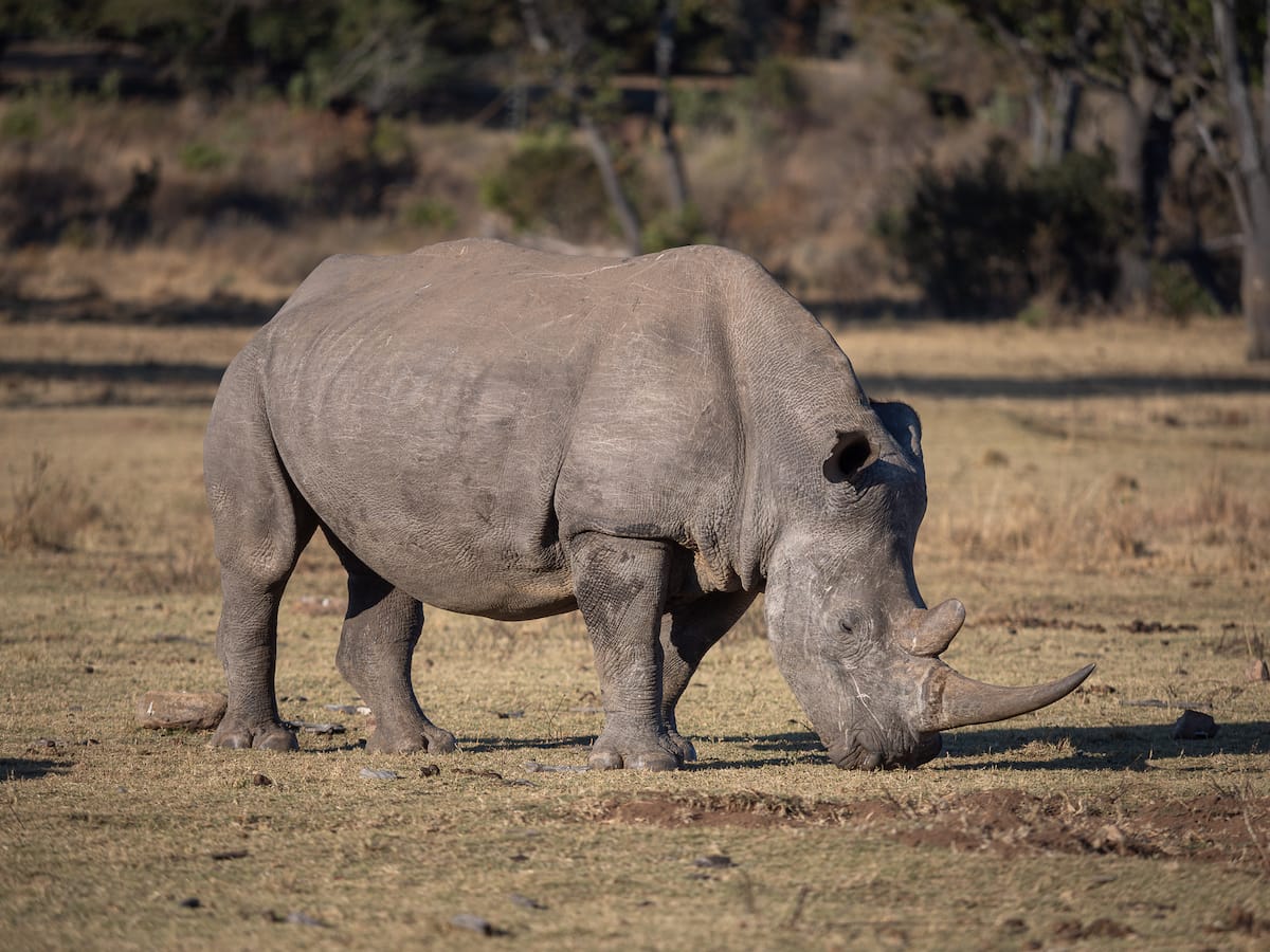 TINTSWALO WATERBERG
