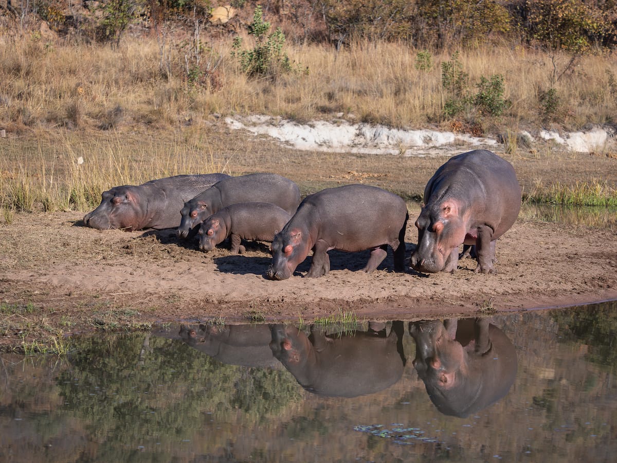 TINTSWALO WATERBERG