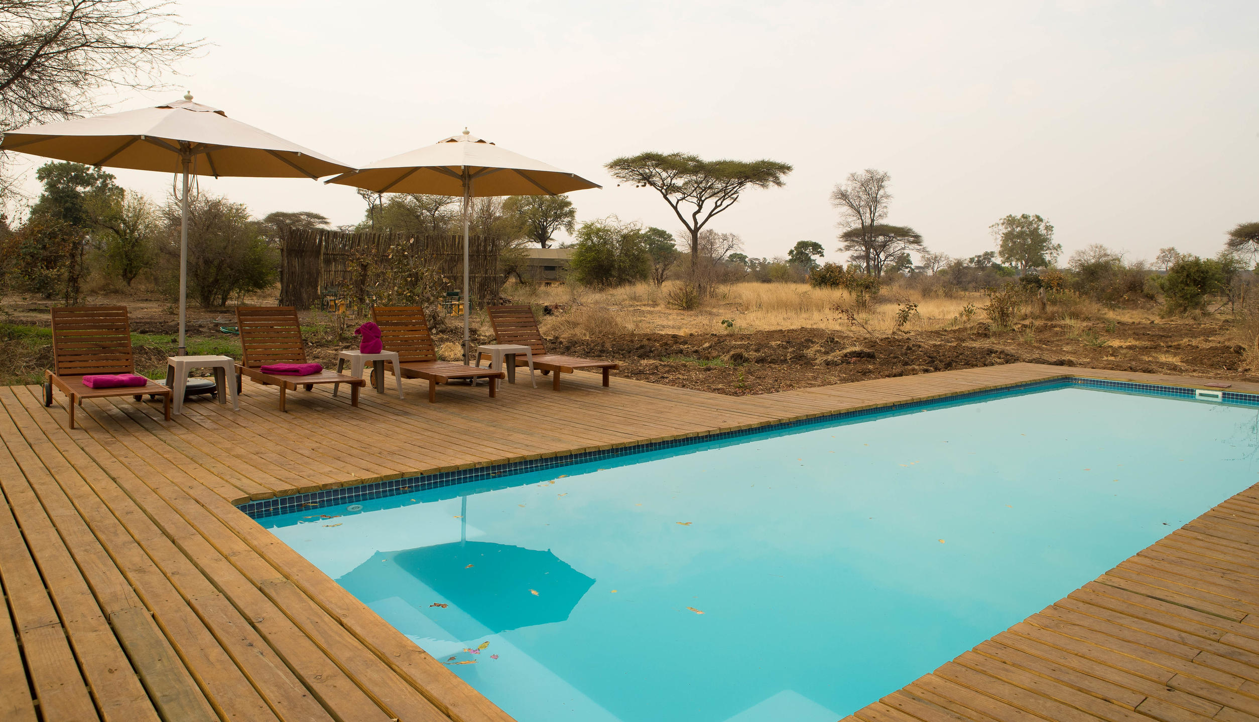 TLOUWANA CAMP
