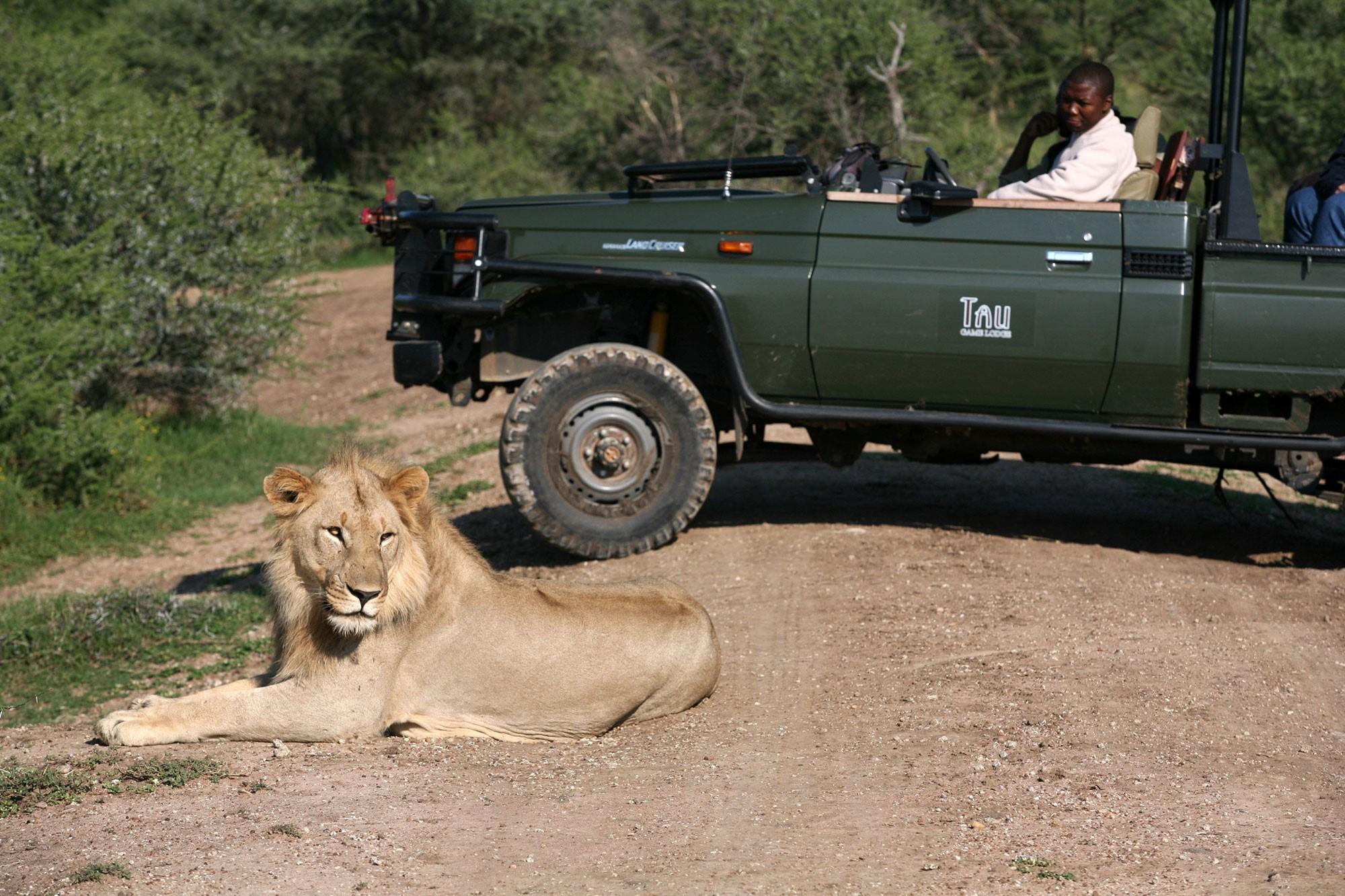 TAU GAME LODGE