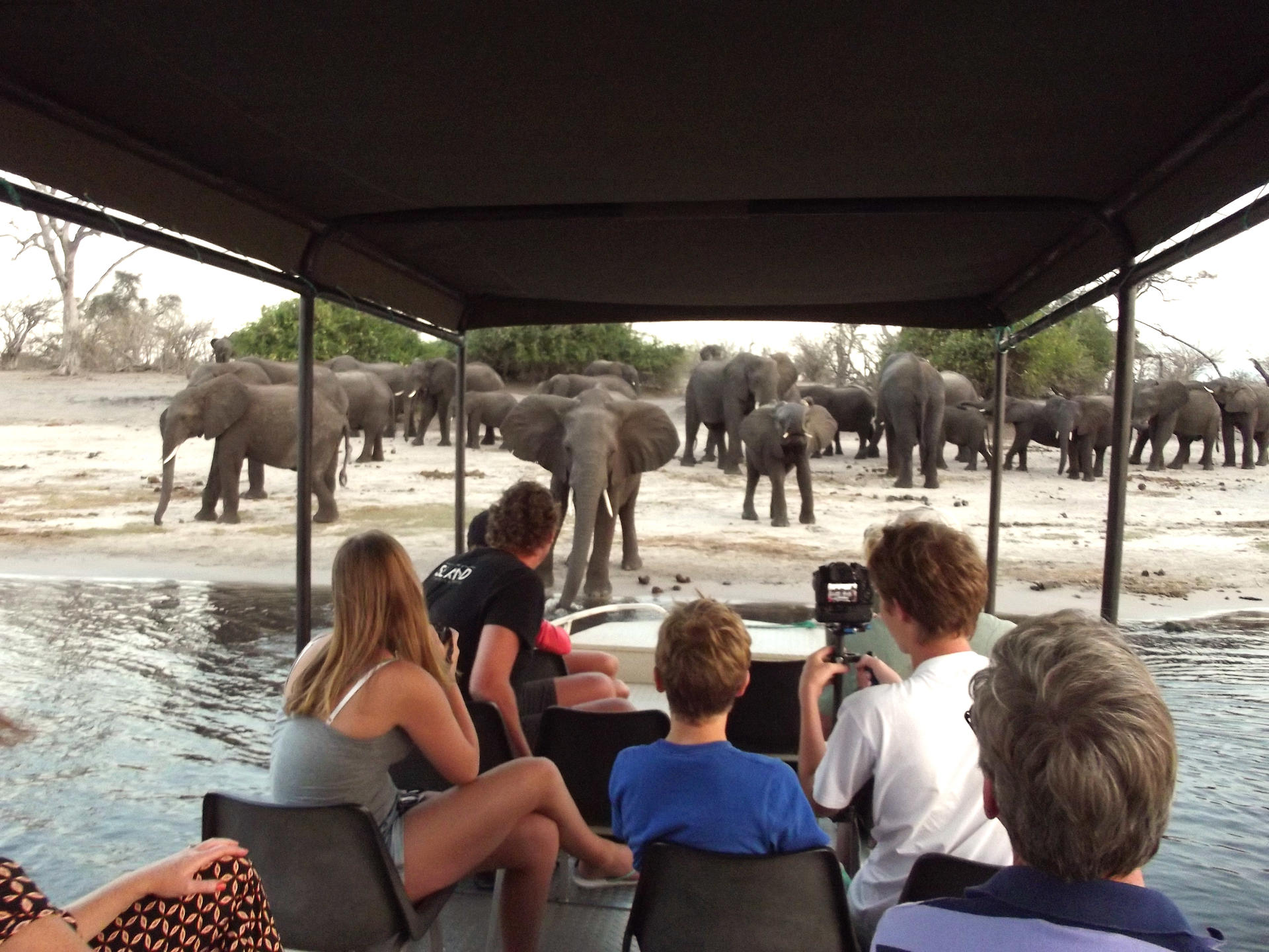 CHOBE RIVER LODGE