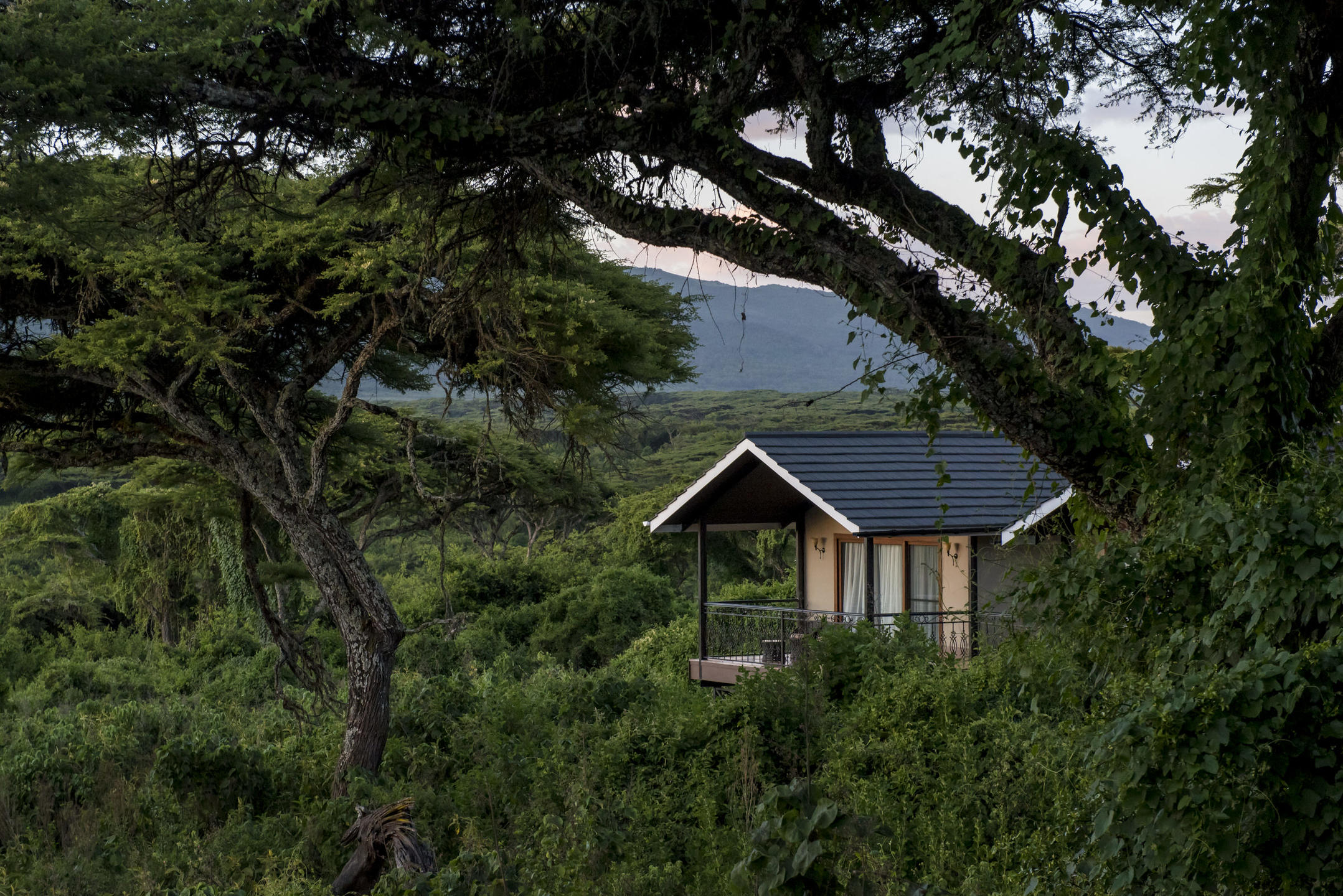 NGORONGORO LIONS PAW CAMP
