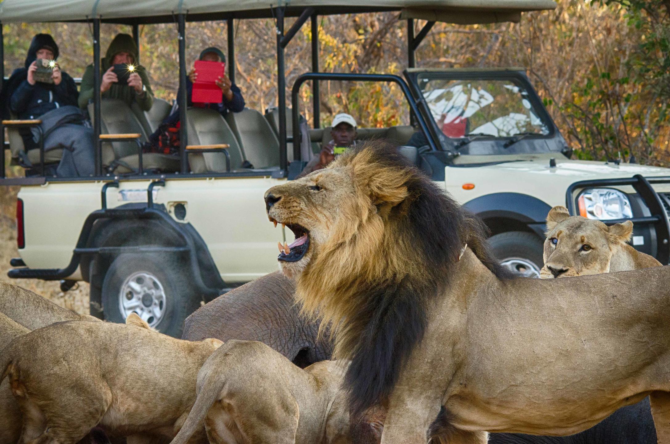 TLOUWANA CAMP