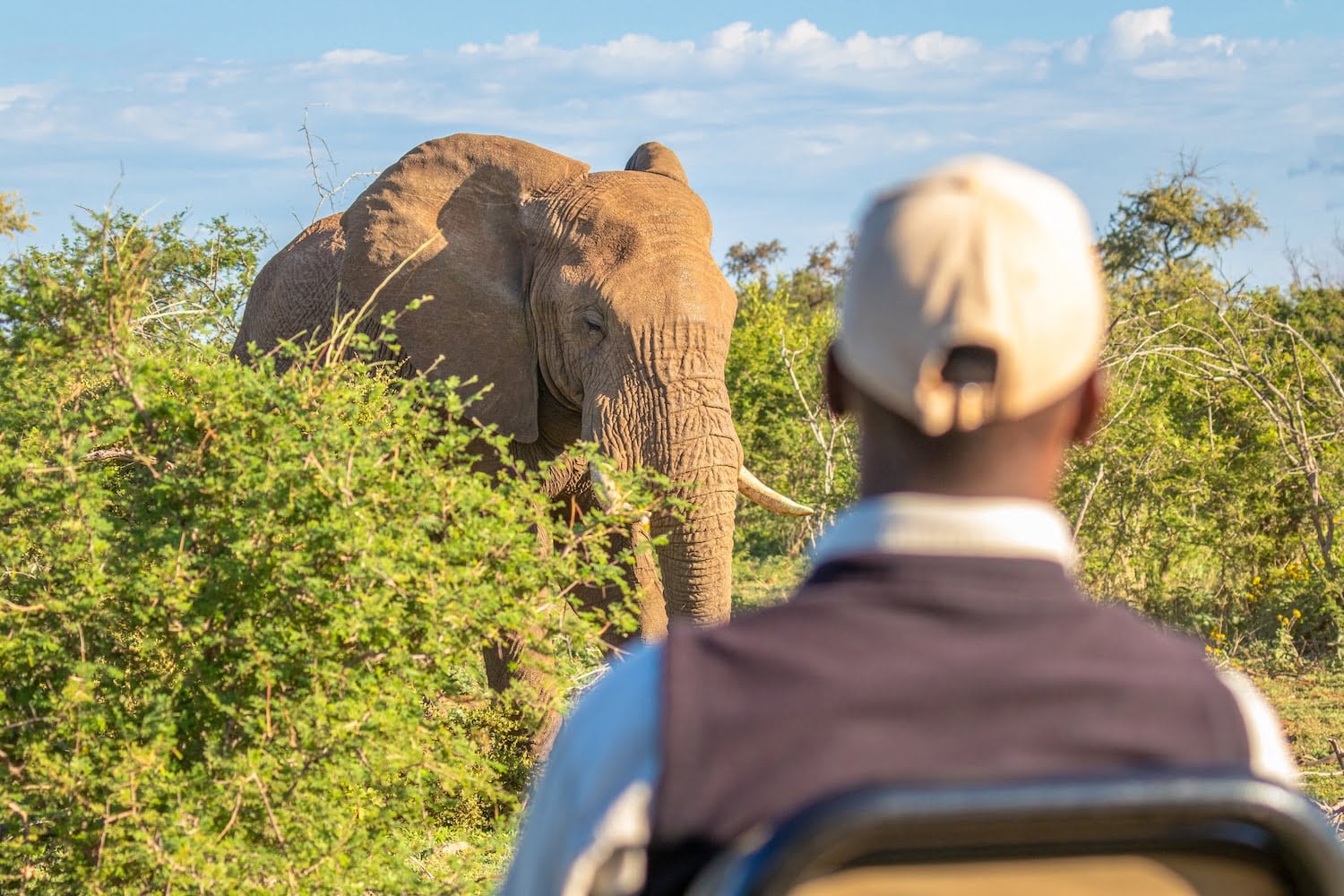 Madikwe 3-Day Safari