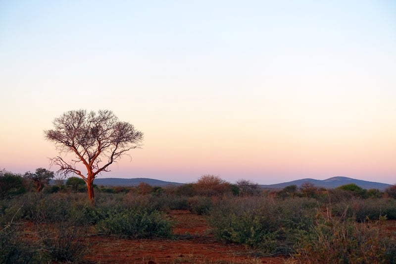 Madikwe Game Reserve