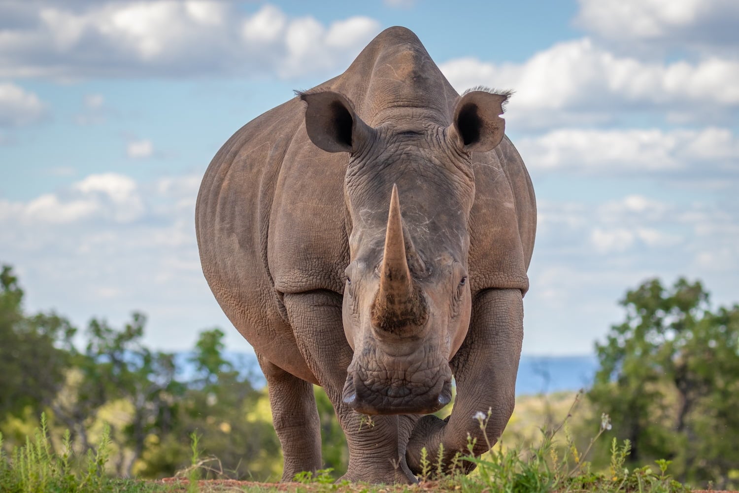 Welgevonden Game Reserve