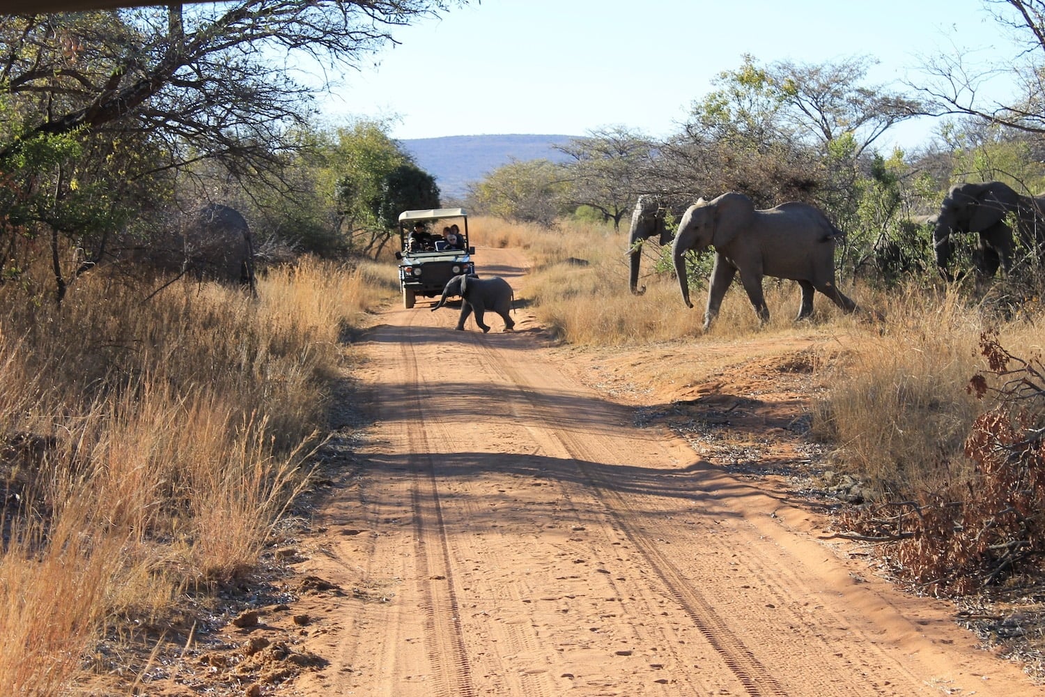 Welgevonden Game Reserve