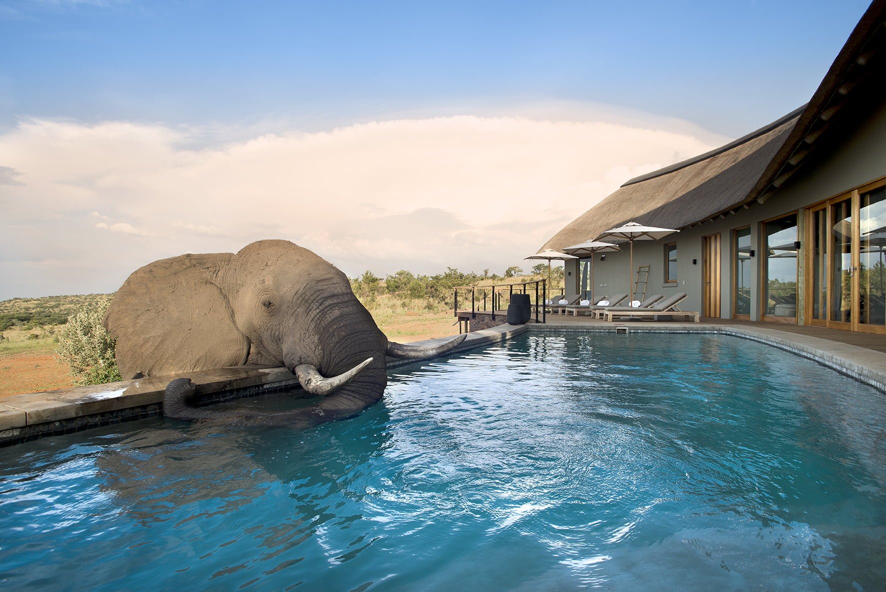 Mhondoro Game Lodge