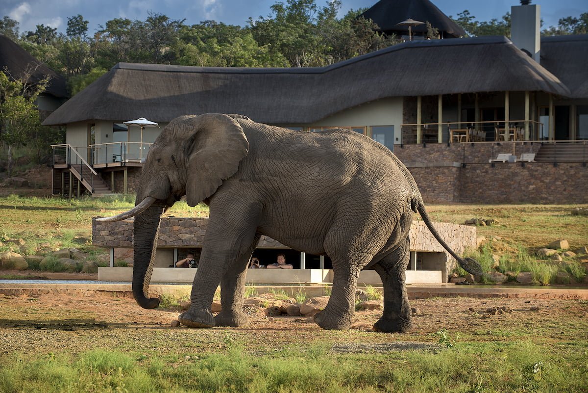MHONDORO GAME LODGE
