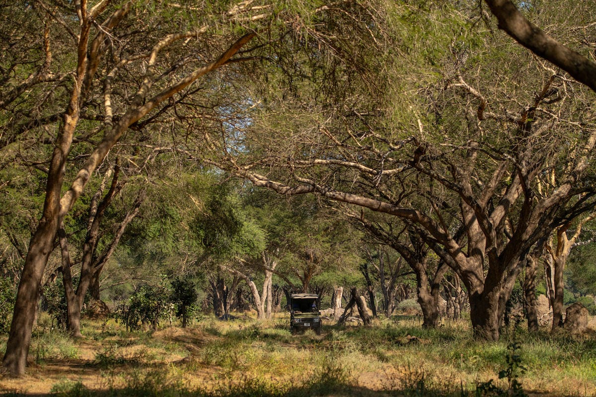 USANGU EXPEDITION CAMP