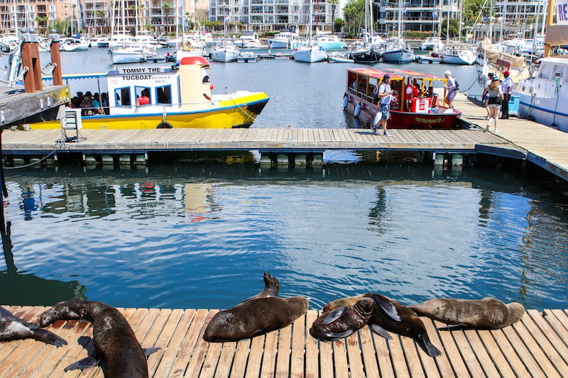 Cape Town