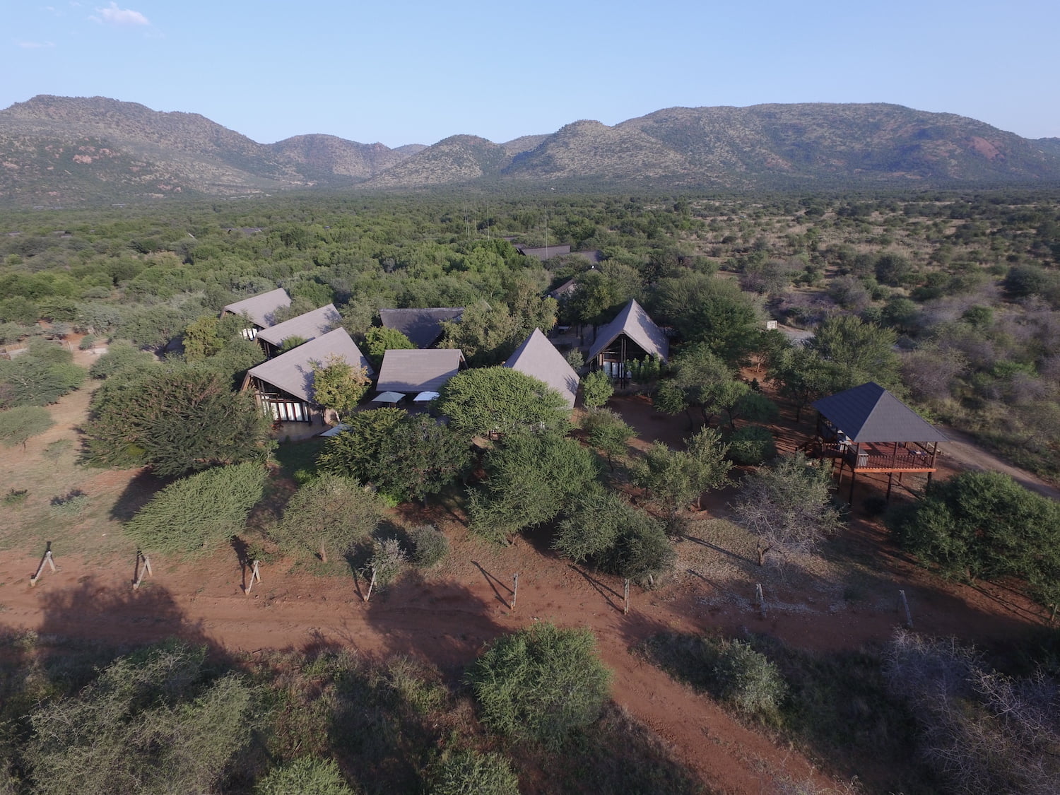 BUFFALO THORN LODGE