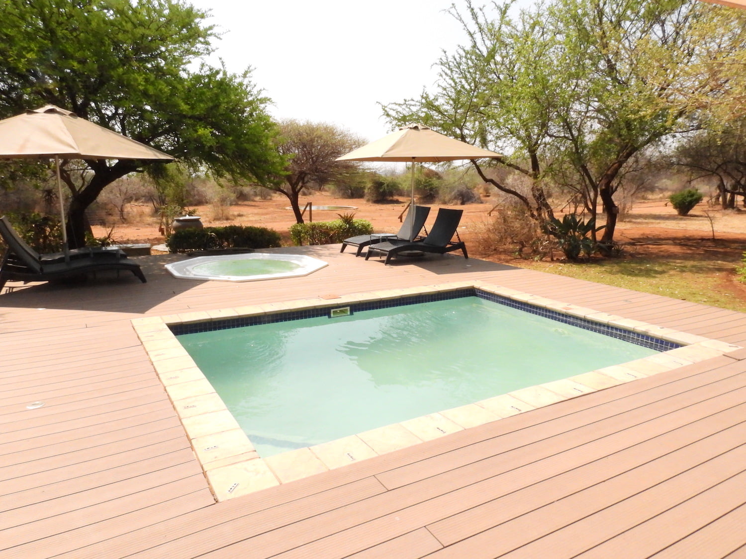 Buffalo Thorn Lodge