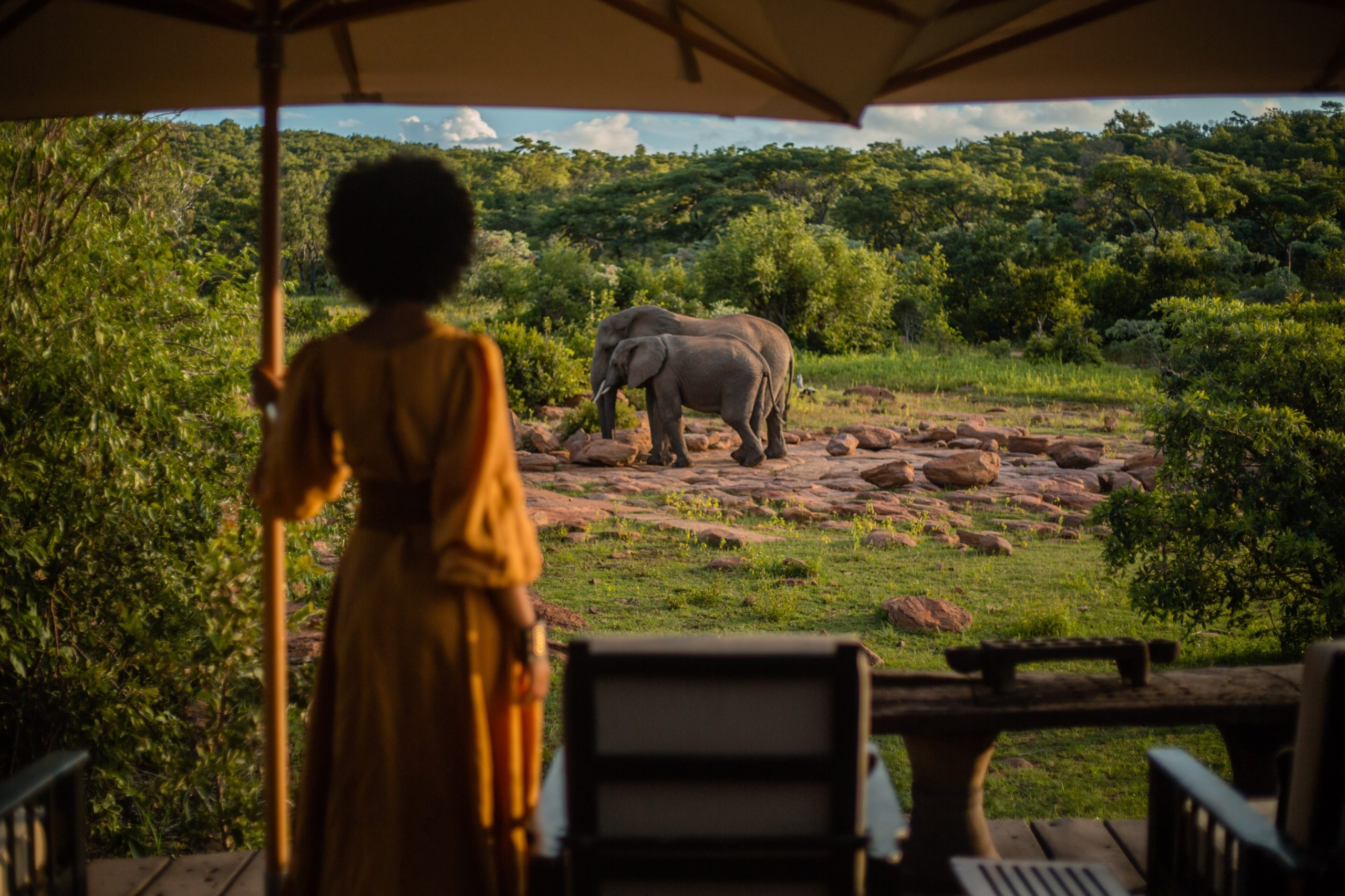 MAKWETI SAFARI LODGE