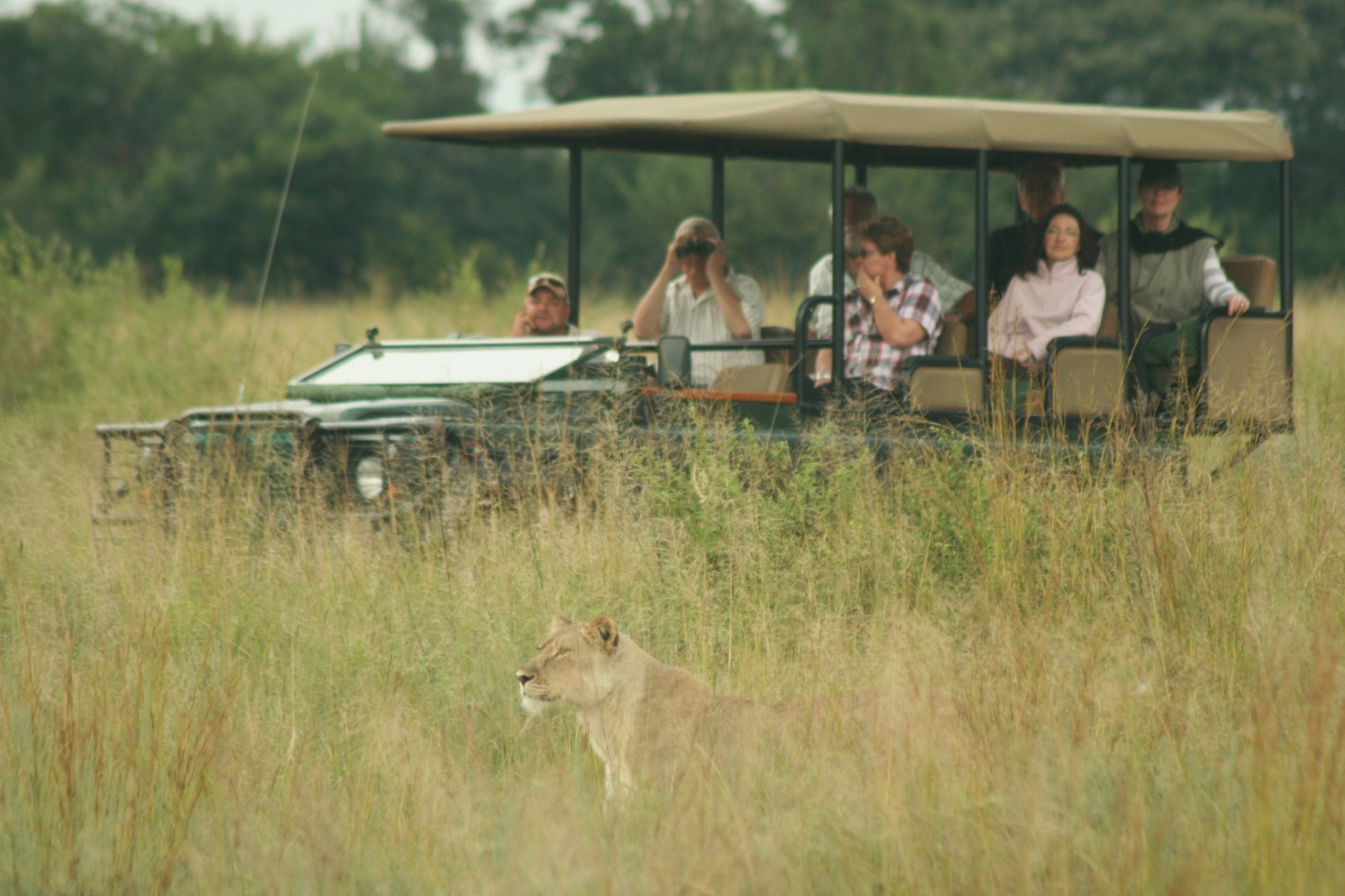 MAKWETI SAFARI LODGE