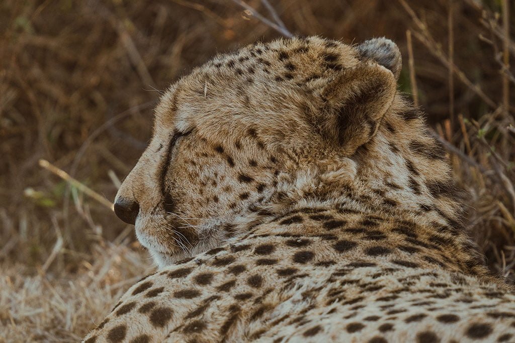 LAST WORD MADIKWE