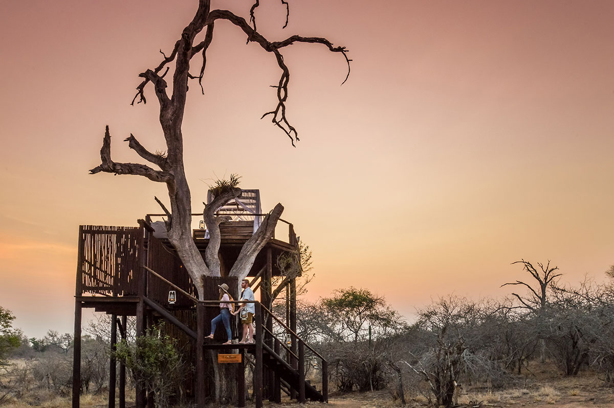 IVORY LODGE