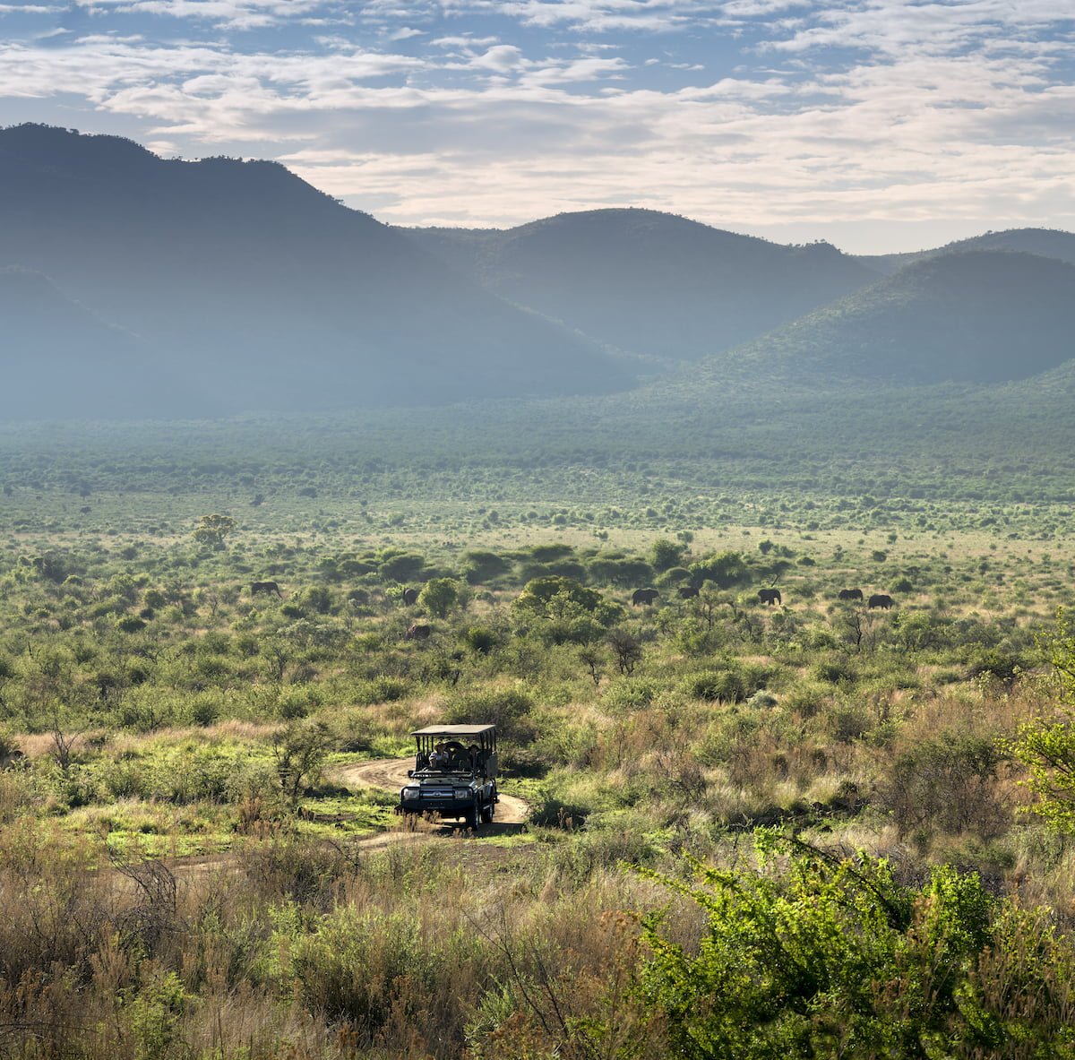 MBAZO SAFARI LODGE