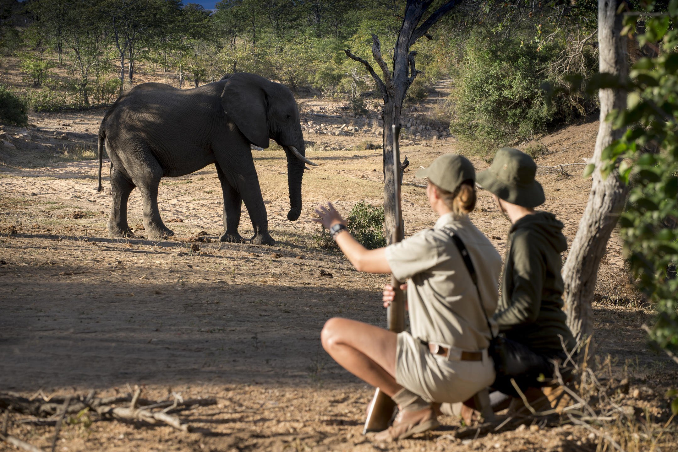 NGALA SAFARI LODGE