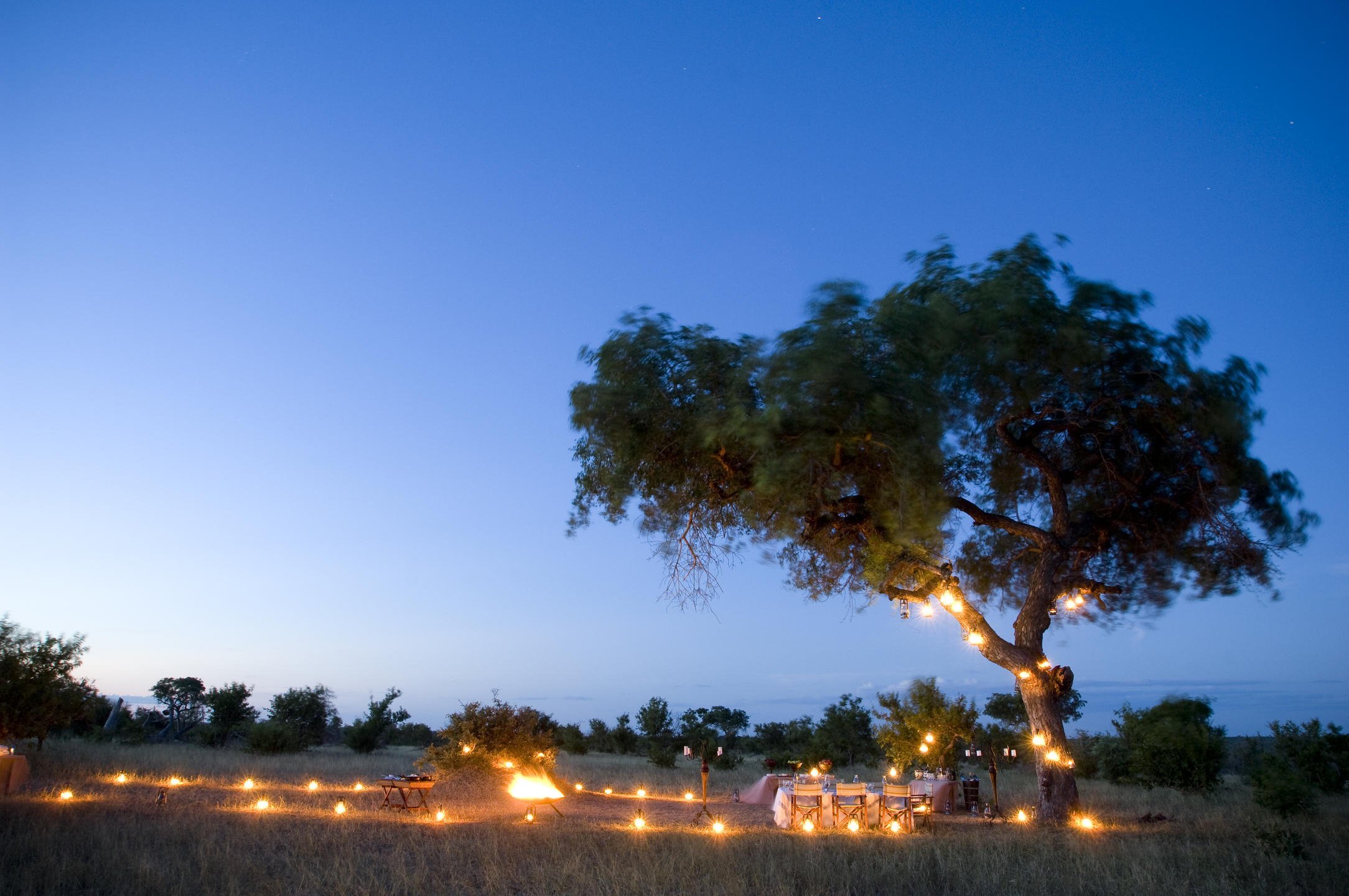 NGALA SAFARI LODGE