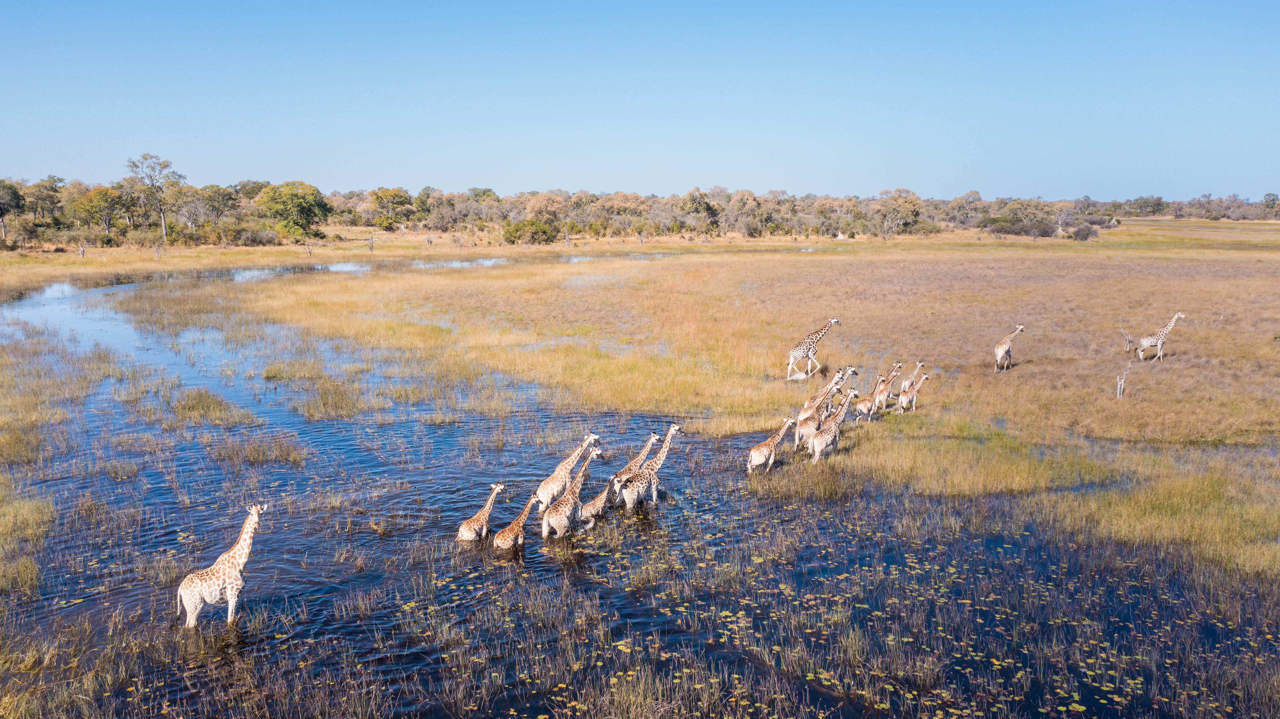 OKAVANGO EXPLORERS