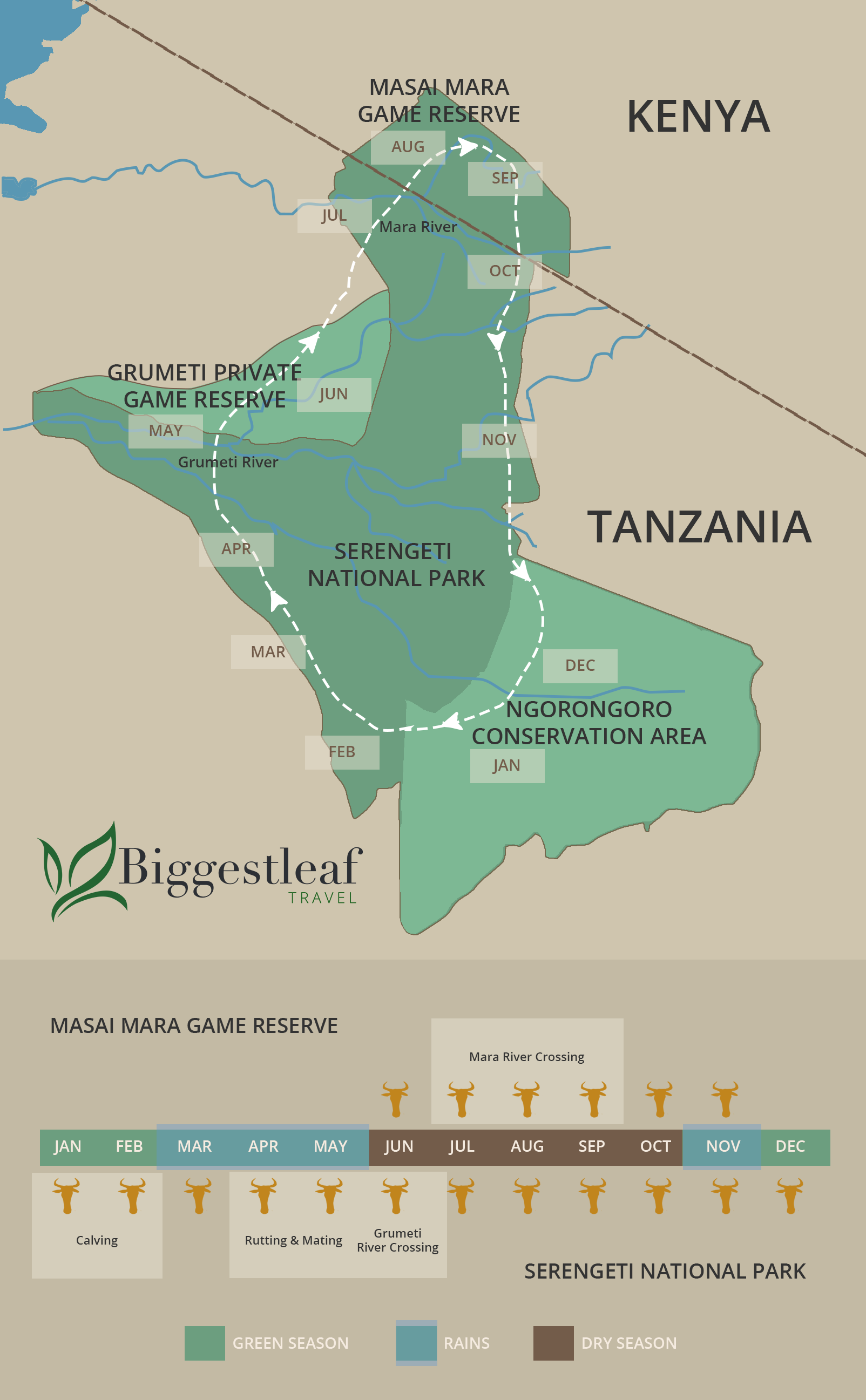 Wildebeest Migration map