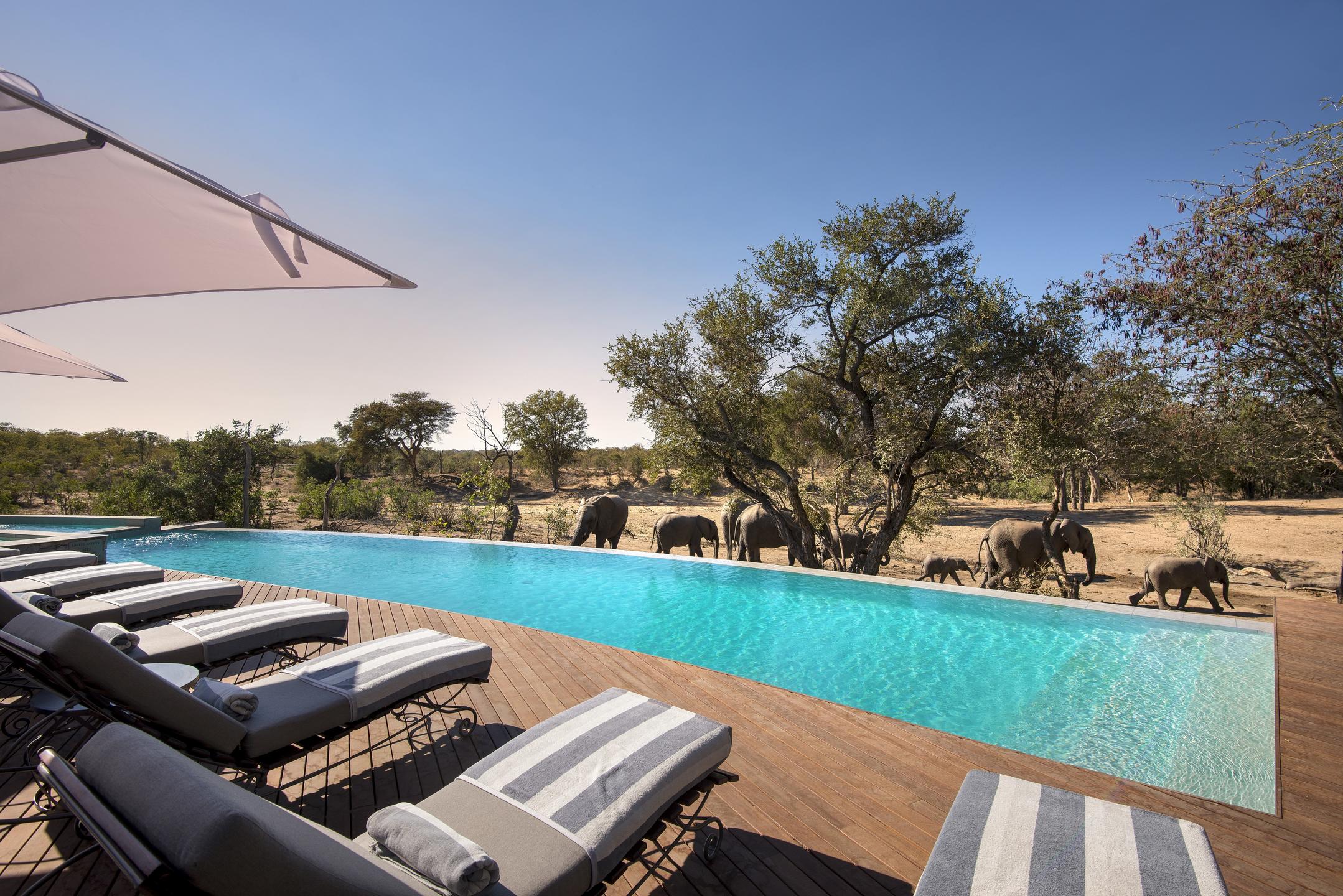 NGALA SAFARI LODGE