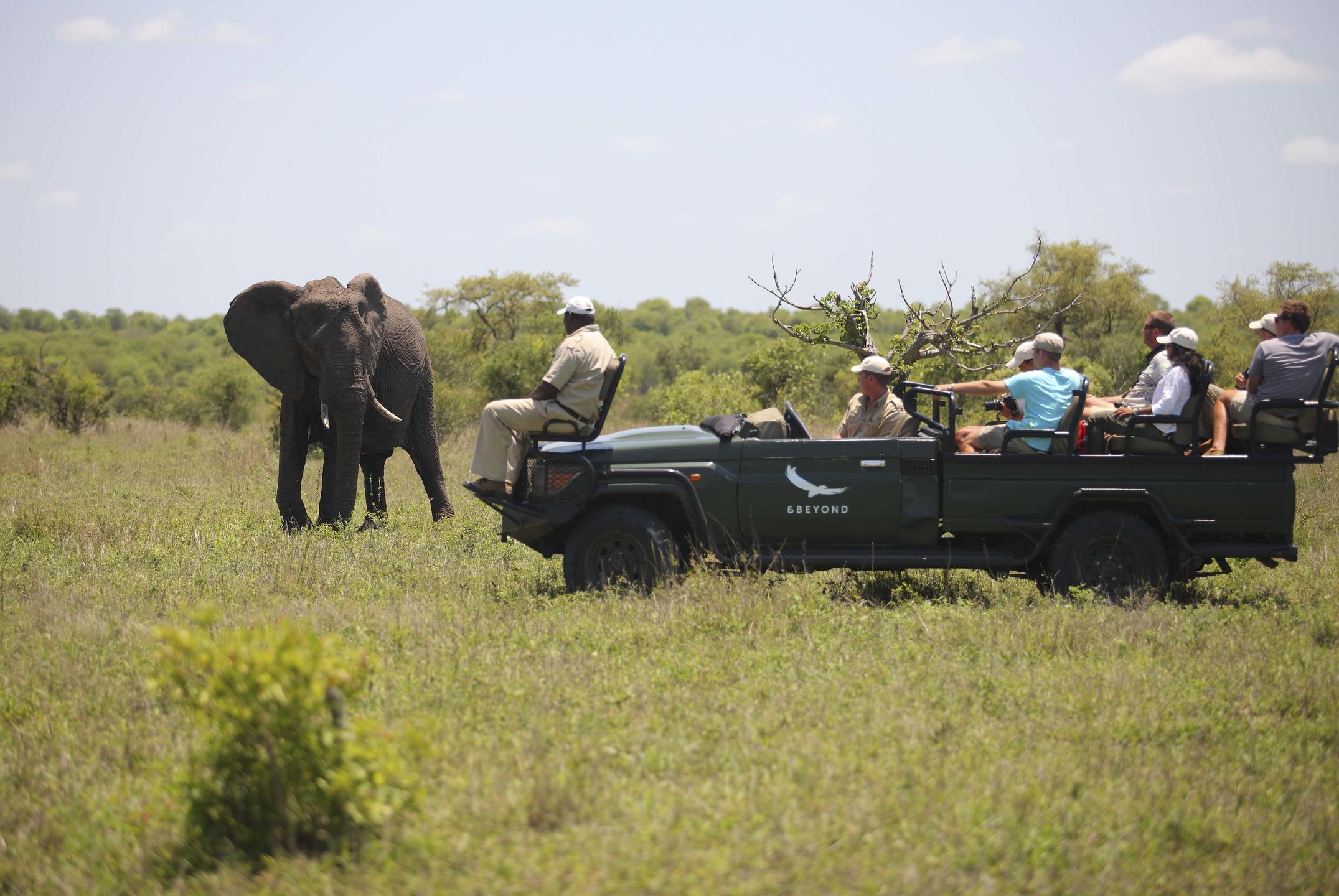 NGALA SAFARI LODGE