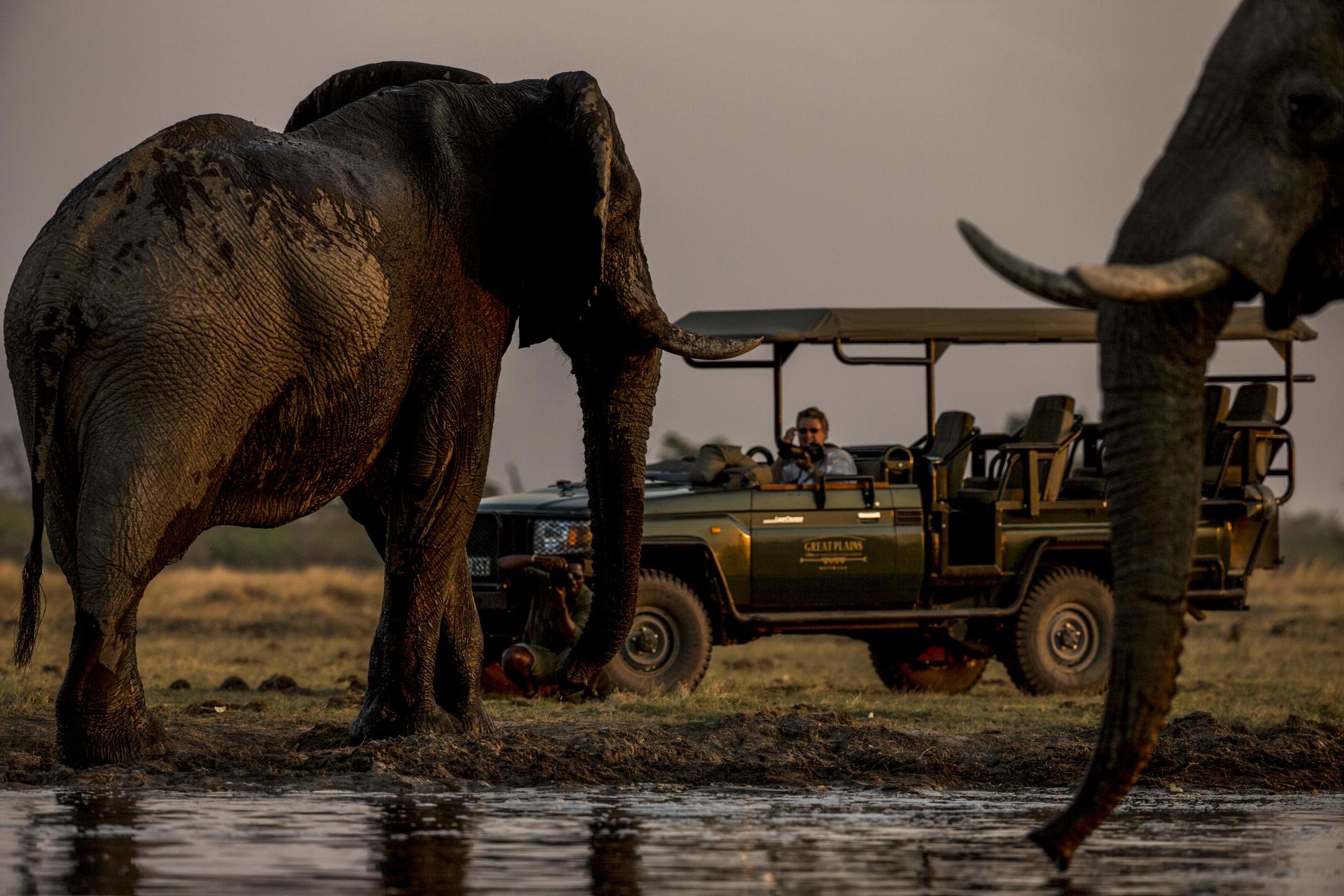 OKAVANGO EXPLORERS