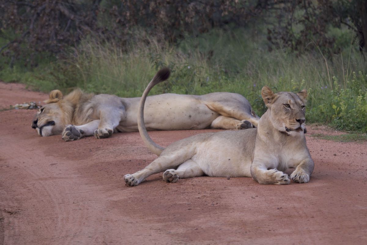 INZALO SAFARI LODGE