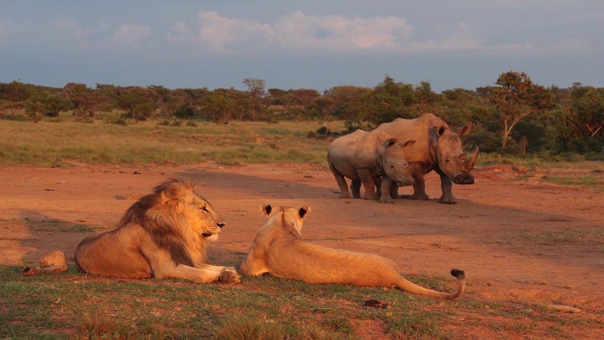 NUNGUBANE LODGE