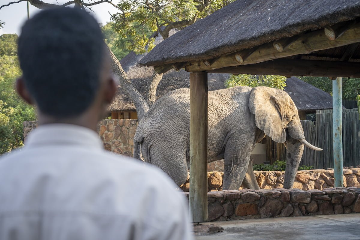 EKUTHULENI LODGE