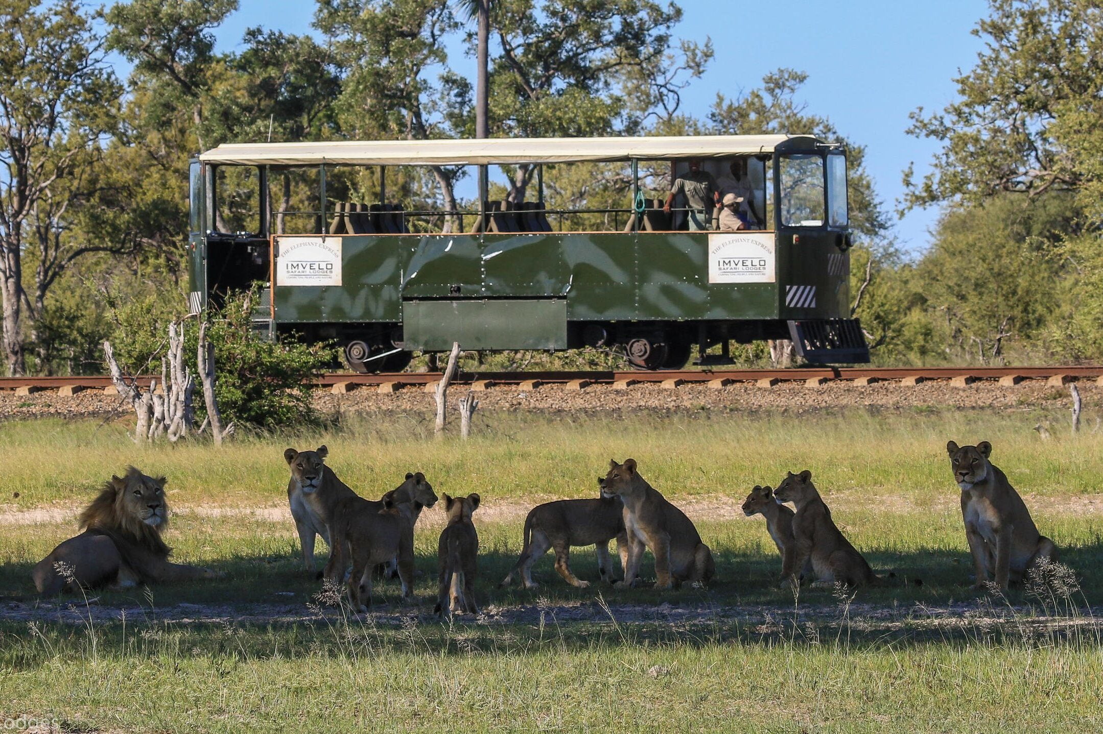 HWANGE BY RAIL